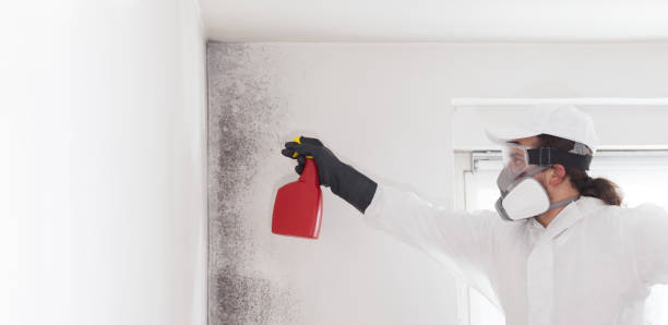 Best Residential Mold Removal  in Darrington, WA