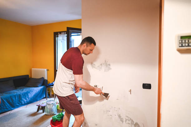 Reliable Darrington, WA Mold Removal Solutions